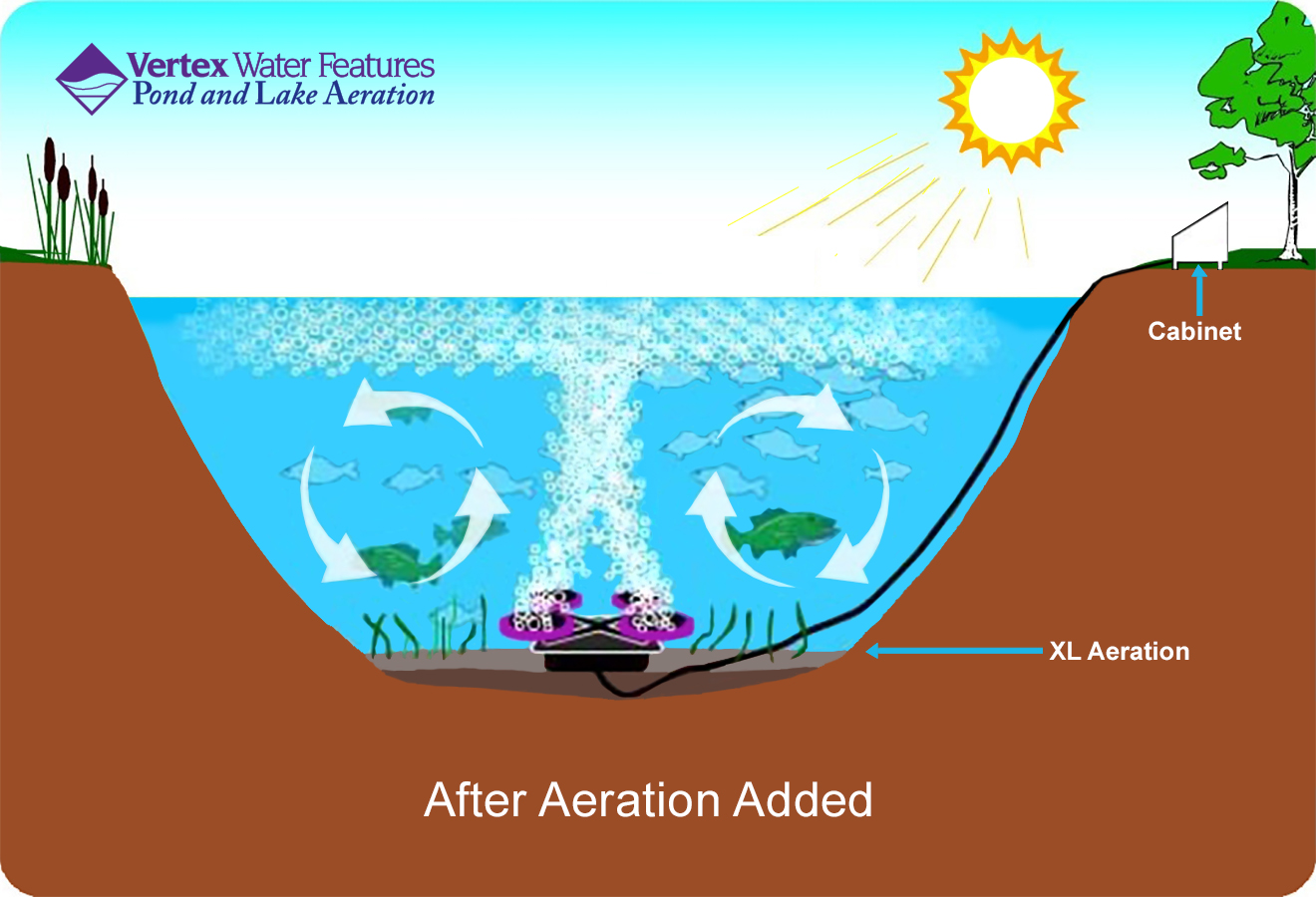 Pond and Lake Temperature Explained / Platinum Ponds & Lake Management