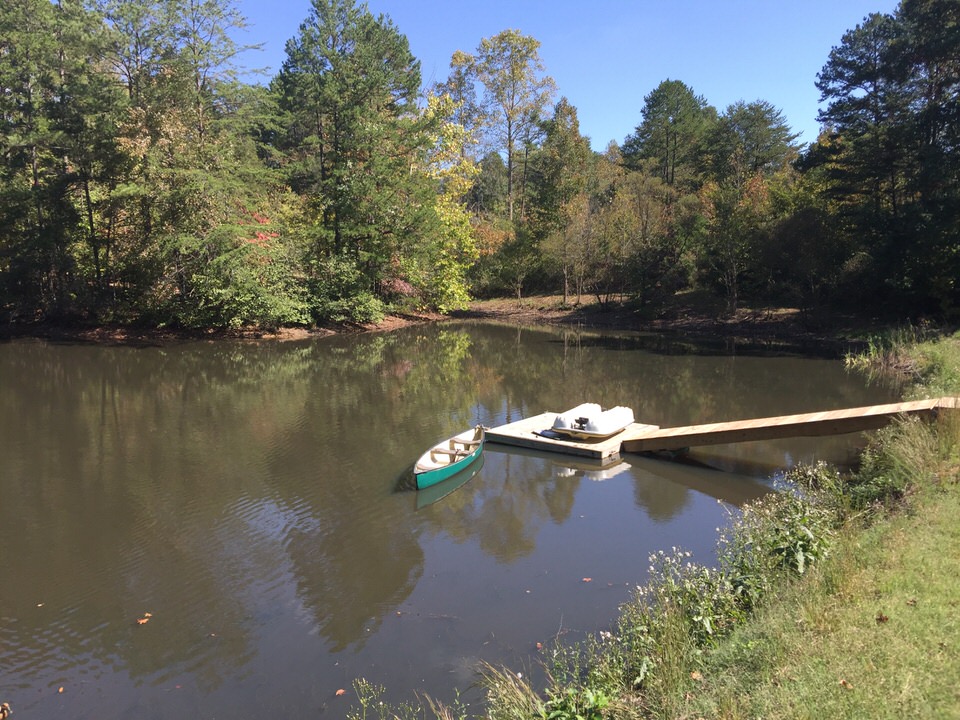 Sonar: A Safe and Simple Herbicide / Platinum Ponds & Lake Management  Greenville SC, Charlotte NC