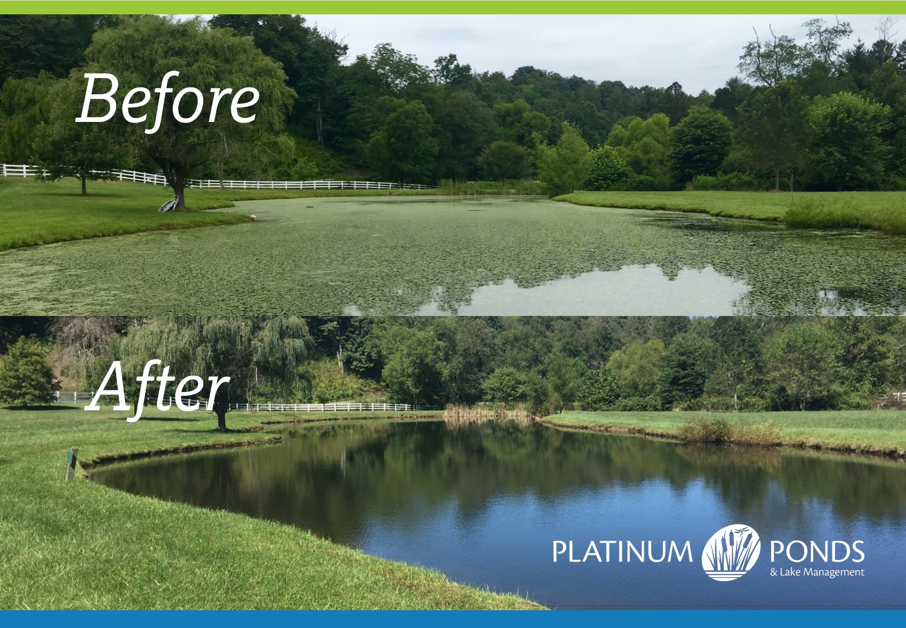 Pond Management / Platinum Ponds & Lake Management Greenville SC ...